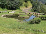b0199742_12431333.jpg