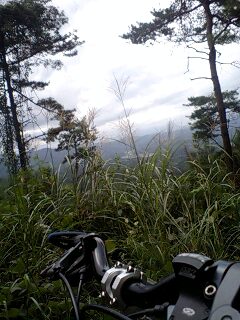c0059543_14223581.jpg