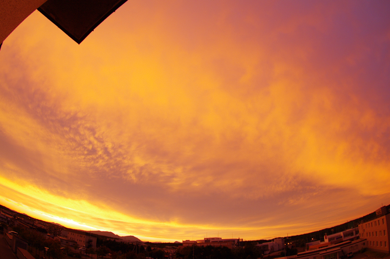 d0074844_17564519.jpg