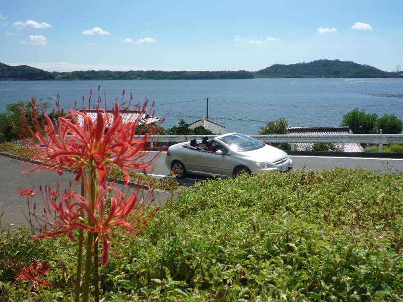 f0091250_1839564.jpg