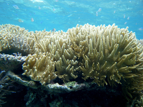 e0134752_2052711.jpg