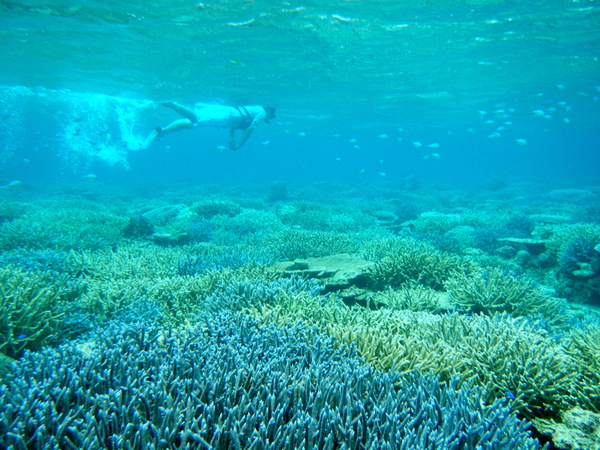e0134752_20551715.jpg