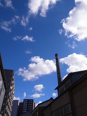 b0204354_18455783.jpg