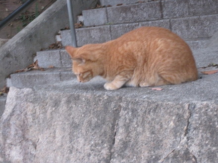 e0126054_10405376.jpg