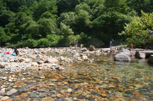 a0003259_2217944.jpg