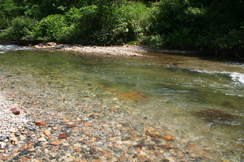 a0003259_22193690.jpg