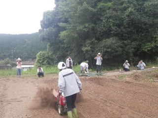 f0055264_010214.jpg