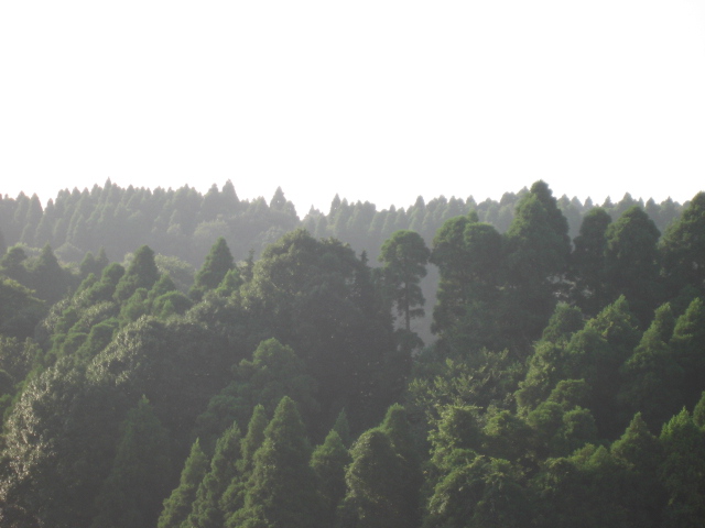 e0139165_013634.jpg