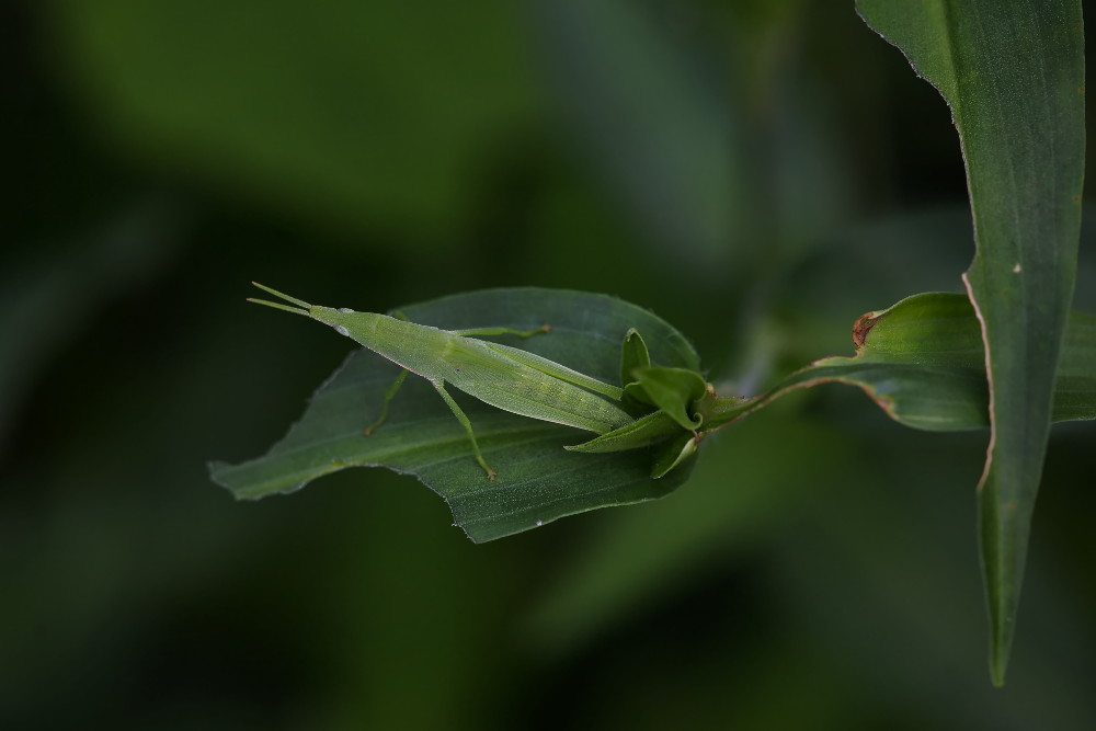 a0083081_16524864.jpg