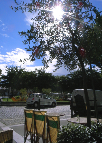 b0121884_835780.jpg