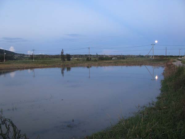 c0064389_12545849.jpg