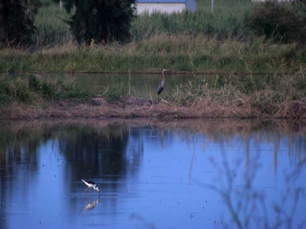 c0064389_12561824.jpg