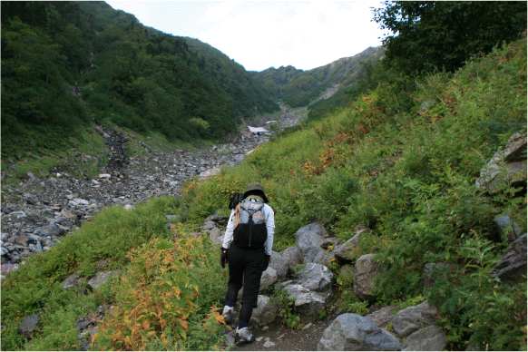 c0171790_15223618.gif