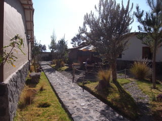 a0137192_111815100.jpg