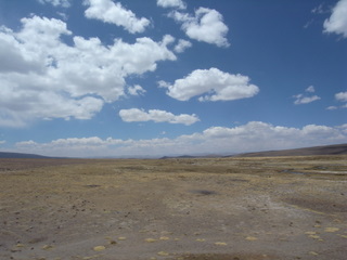 a0137192_11341995.jpg