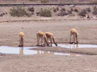 a0137192_11382326.jpg