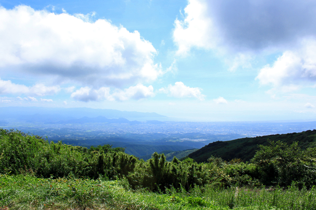 c0153292_1855369.jpg