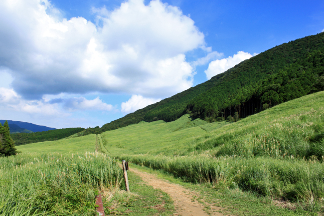 c0153292_1856716.jpg
