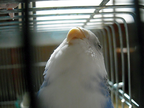 d0131293_192814.jpg