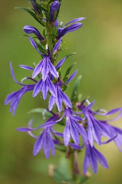 b0145398_2134177.jpg