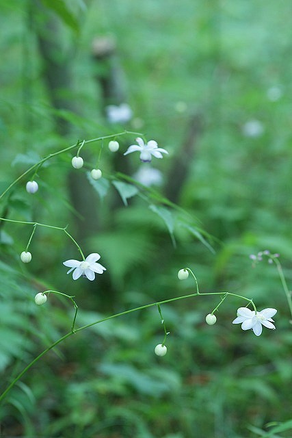 b0145398_22171039.jpg