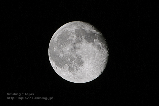 d0138899_23315958.jpg