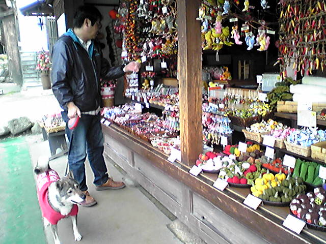 f0079202_20145014.jpg