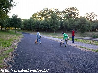 e0145805_21204417.jpg