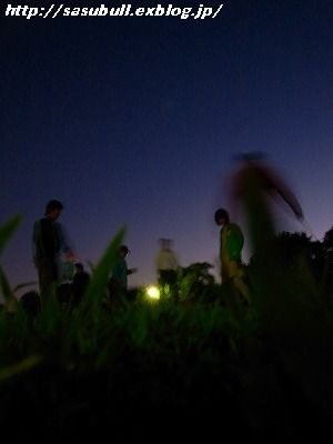 e0145805_21261589.jpg