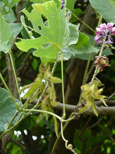 b0052108_163487.jpg