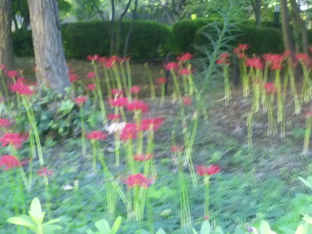 e0179308_19523120.jpg