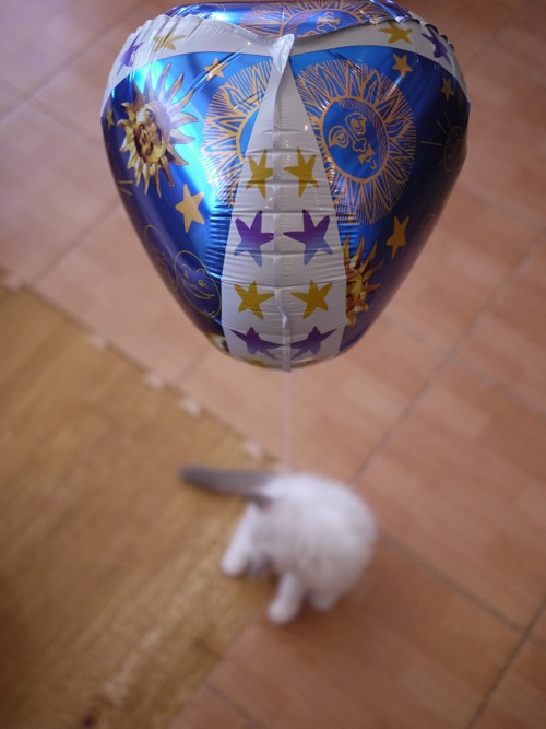 f0208209_23283934.jpg