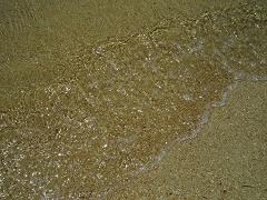 b0081313_135597.jpg