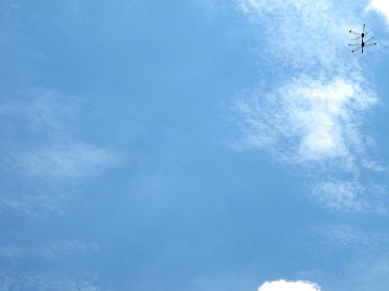 a0101715_8533928.jpg