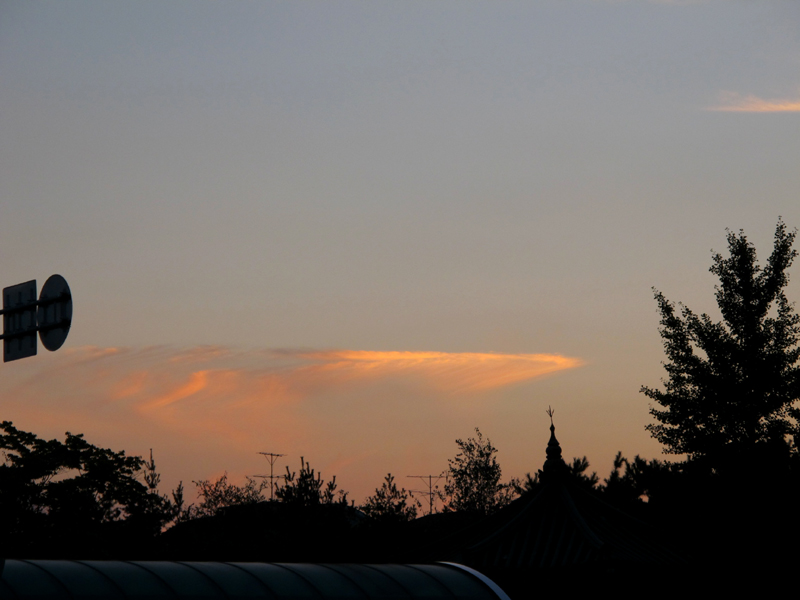 a0101715_9201058.jpg
