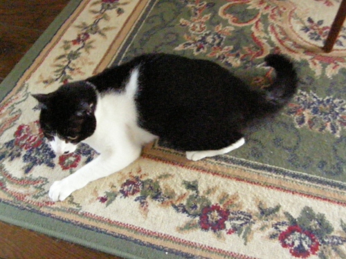 c0158916_18321912.jpg