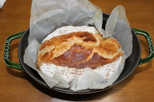 f0223119_134578.jpg