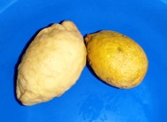 a0043520_1145732.jpg