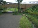 d0065324_16595727.jpg