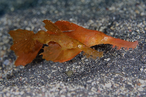 f0206424_14244079.jpg