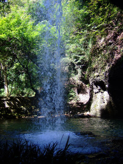 f0147025_19192334.jpg