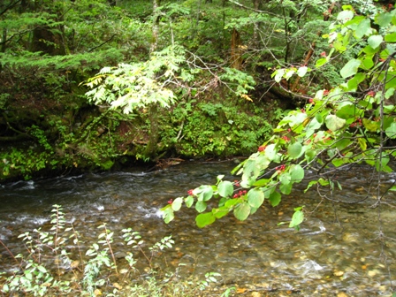 d0130927_1623182.jpg