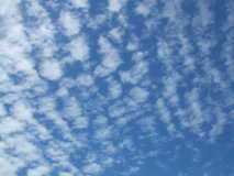 c0188928_16542528.jpg