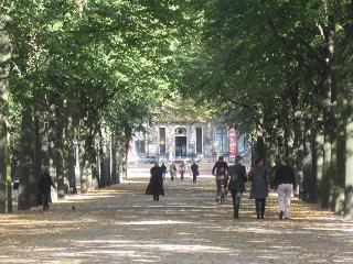 c0051529_450453.jpg