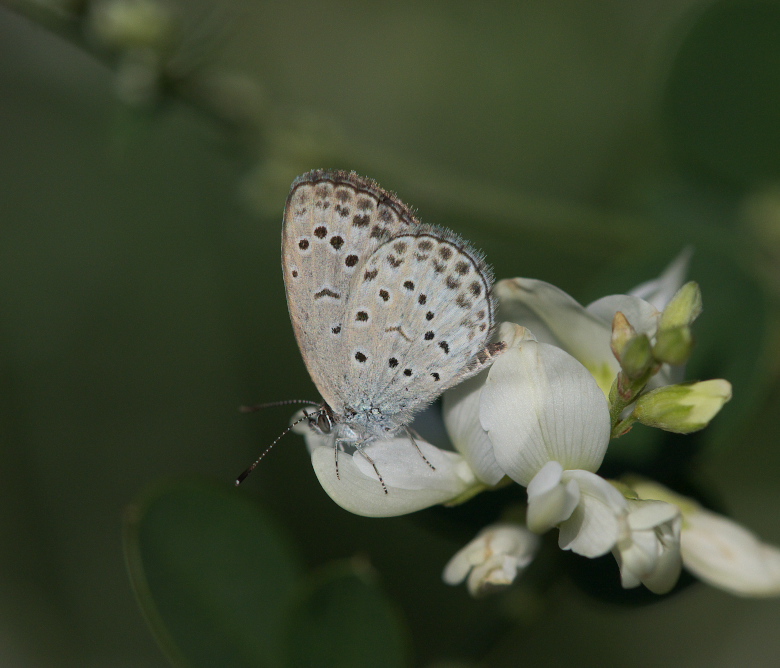 a0126632_193423.jpg