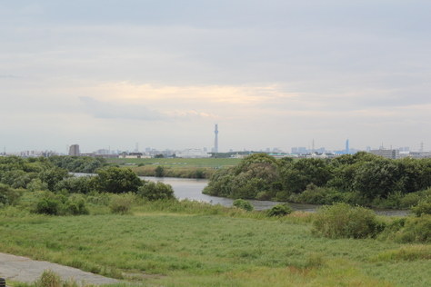 e0166032_2215964.jpg