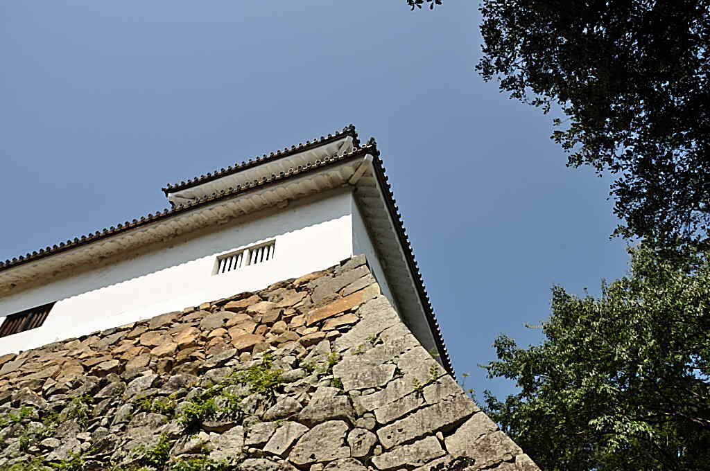 b0129533_1720626.jpg