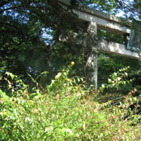 d0033734_016514.jpg