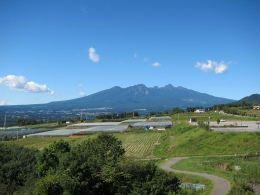 b0178339_15322166.jpg