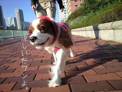 a0120944_1403651.jpg